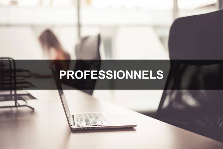 Sécurité et domotique pour professionnels